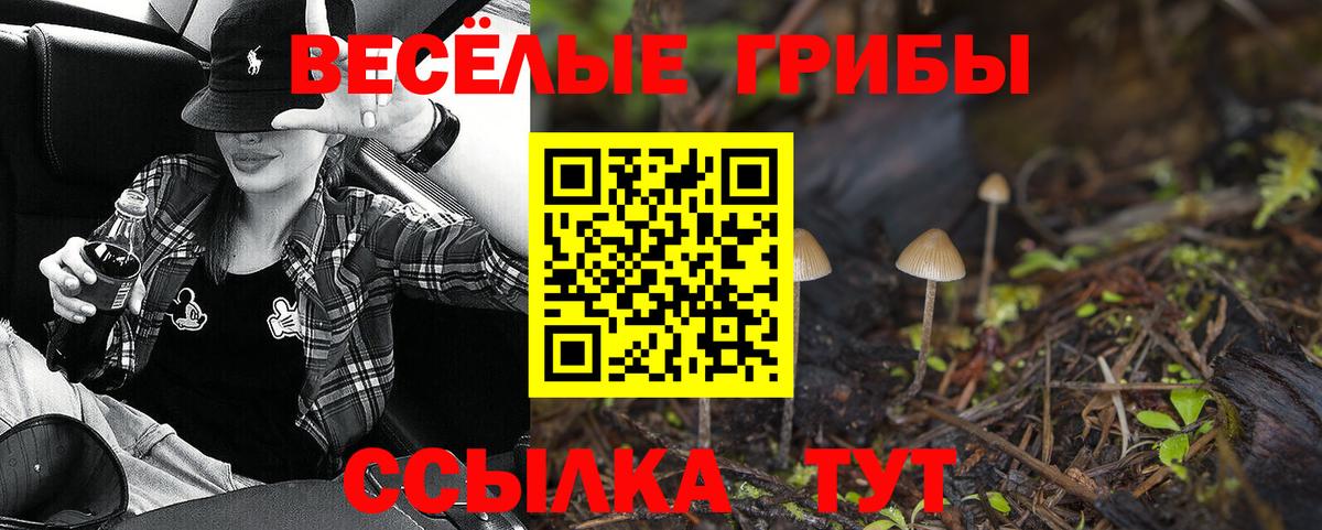 Псилоцибиновые грибы ЛСД Скопин